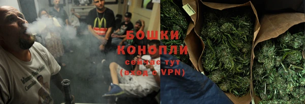 сатива Аркадак