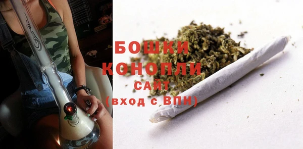 сатива Аркадак