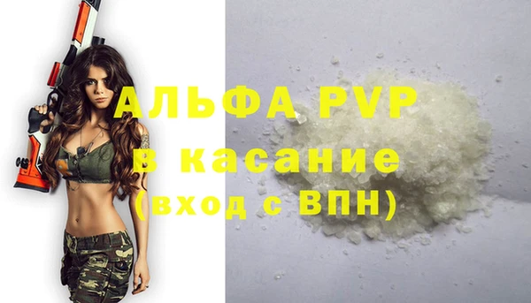 сатива Аркадак