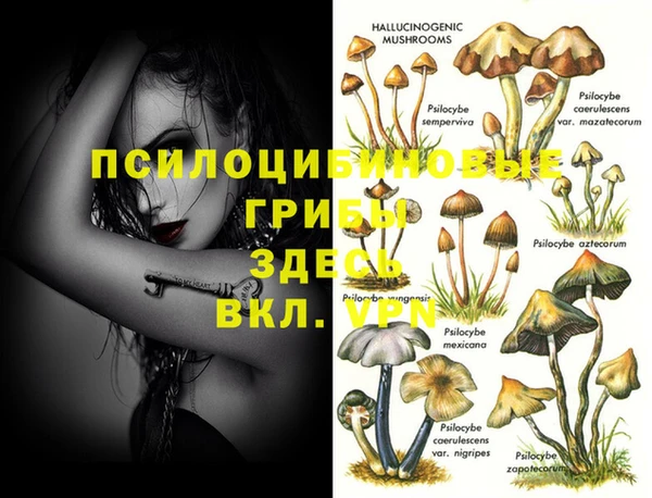 гидропоника Армянск