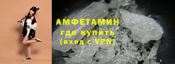 сатива Аркадак