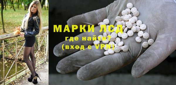 сатива Аркадак