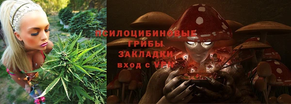 сатива Аркадак