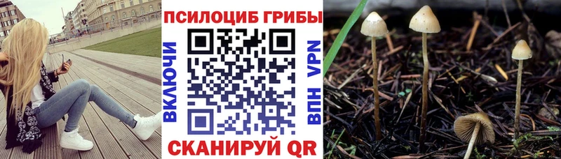 Псилоцибиновые грибы Magic Shrooms цена KRAKEN зеркало Магас